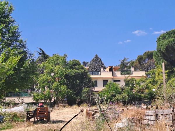 Terreno en avenida de Galapagar s/n