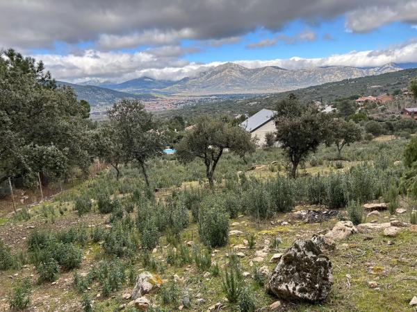 Terreno en Fontenebro - Altavista