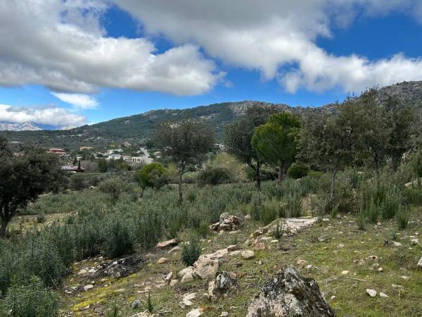 Terreno en Fontenebro - Altavista