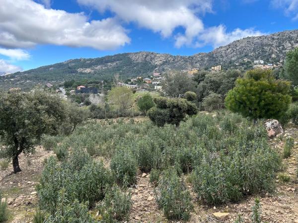 Terreno en Fontenebro - Altavista