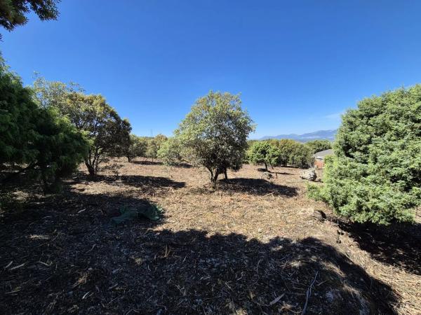 Terreno en Fontenebro - Altavista