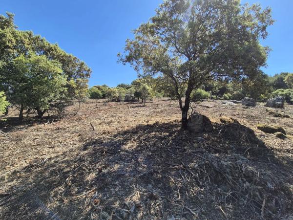 Terreno en Fontenebro - Altavista