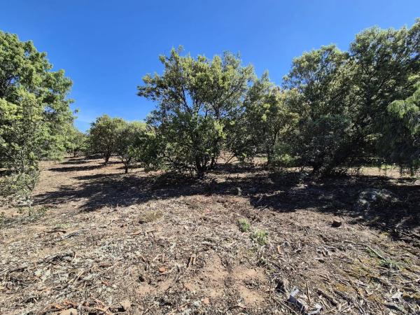 Terreno en Fontenebro - Altavista