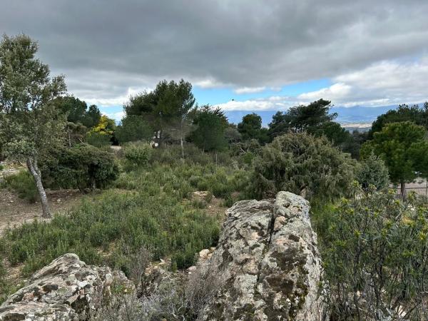 Terreno en Fontenebro - Altavista