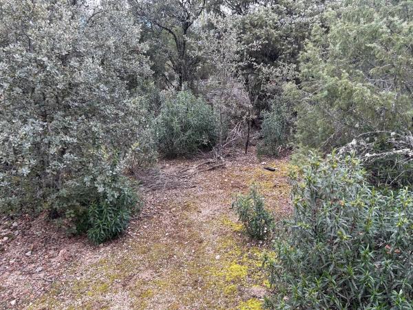 Terreno en Fontenebro - Altavista