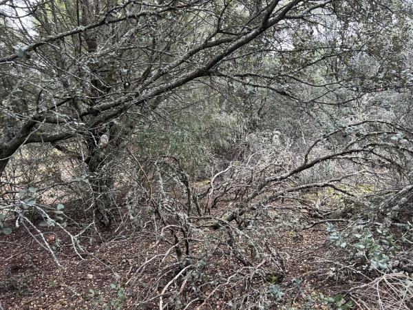 Terreno en Fontenebro - Altavista