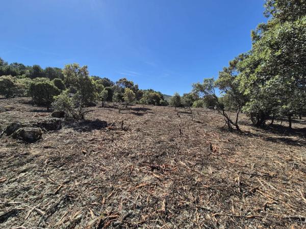 Terreno en Fontenebro - Altavista