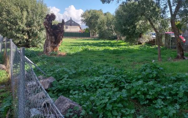 Terreno en collado real, 1