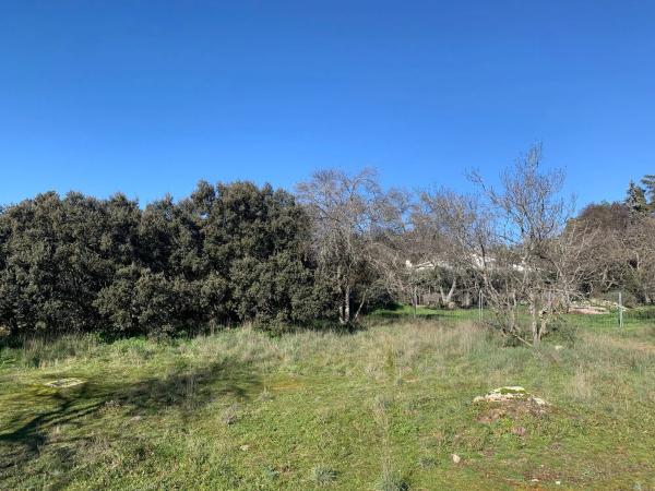 Terreno en calle las Encinas, 16
