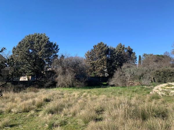 Terreno en calle las Encinas, 16