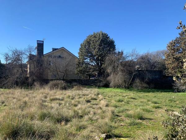 Terreno en calle las Encinas, 16