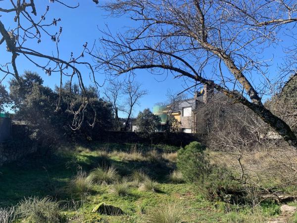 Terreno en calle las Encinas, 18