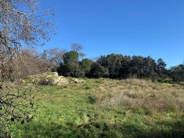 Terreno en calle las Encinas, 16