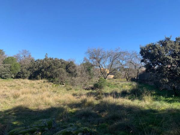 Terreno en calle las Encinas, 18