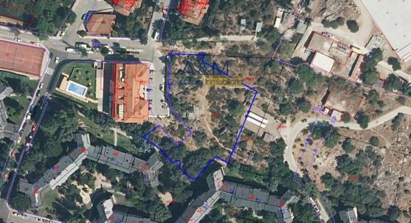 Terreno en calle Golondrinas