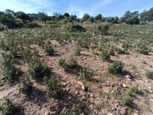 Terreno en calle Prados del Arroyo, 156