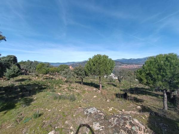 Terreno en calle Prados del Arroyo, 156