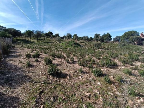 Terreno en calle Prados del Arroyo, 156