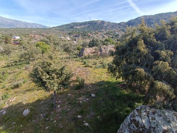 Terreno en calle Prados del Arroyo, 156