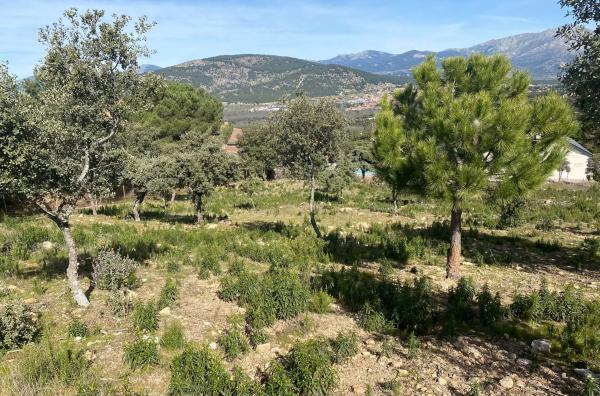 Terreno en calle Prados del Arroyo, 156