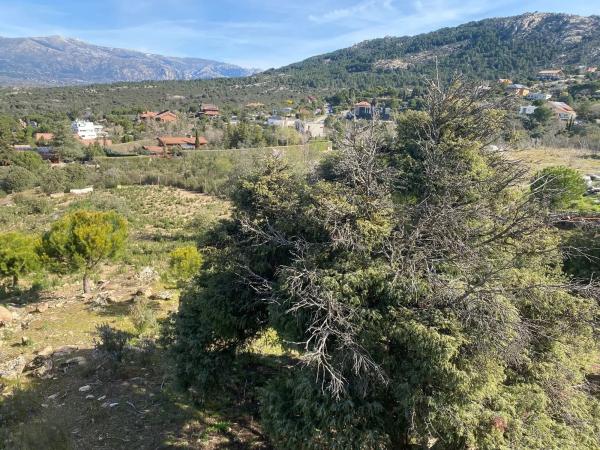 Terreno en calle Prados del Arroyo, 156