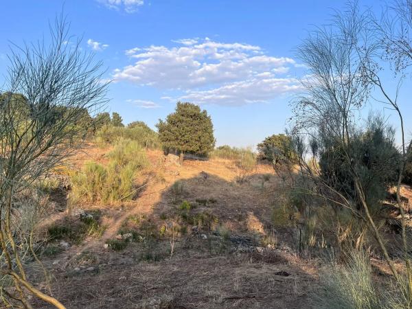 Terreno en Polígono 8