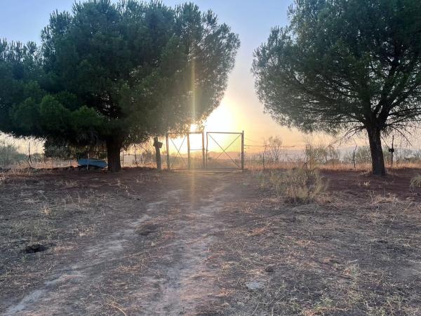 Terreno en Polígono 8