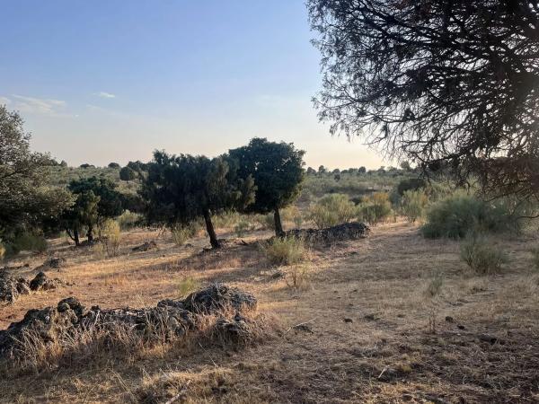 Terreno en Polígono 8