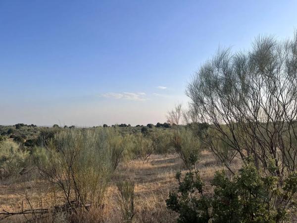 Terreno en Polígono 8