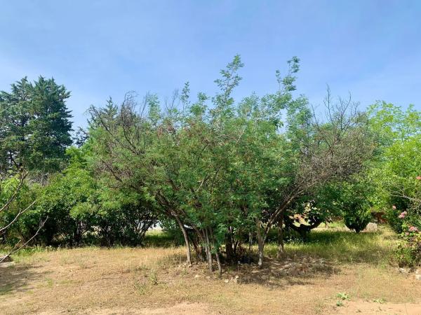 Terreno en calle Cañada de las Merinas