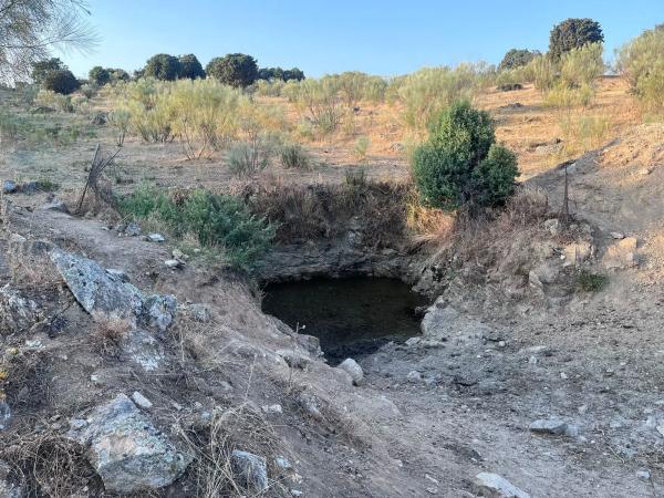 Terreno en Polígono 8