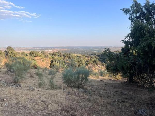 Terreno en Polígono 8