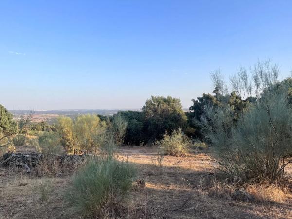 Terreno en Polígono 8