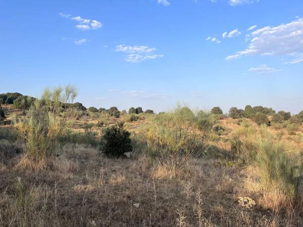 Terreno en Polígono 8