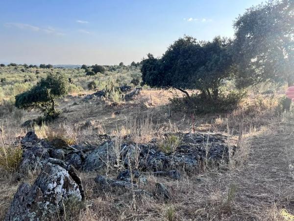 Terreno en Polígono 8