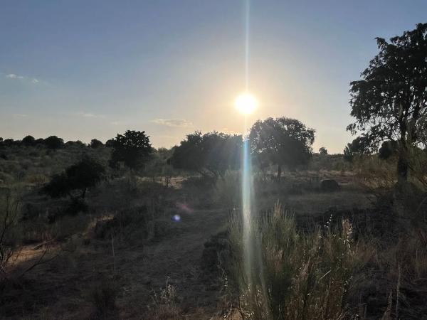 Terreno en Polígono 8