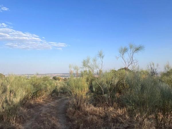 Terreno en Polígono 8