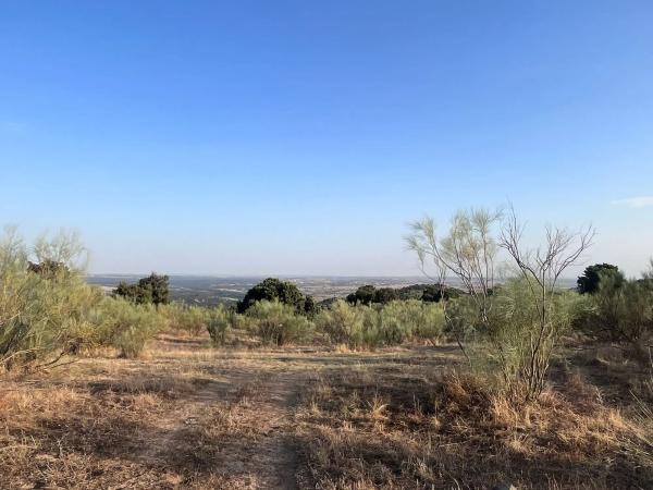 Terreno en Polígono 8