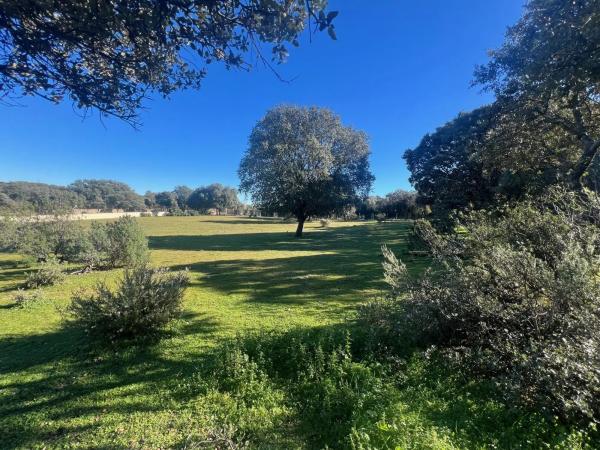 Terreno en Diseminado Peñarrubia, 13