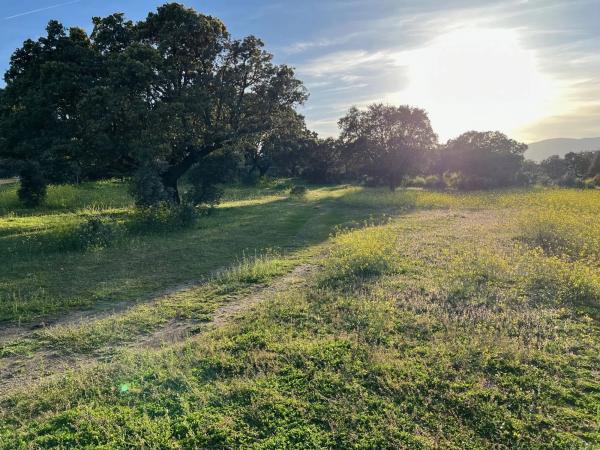 Terreno en Diseminado Peñarrubia, 13