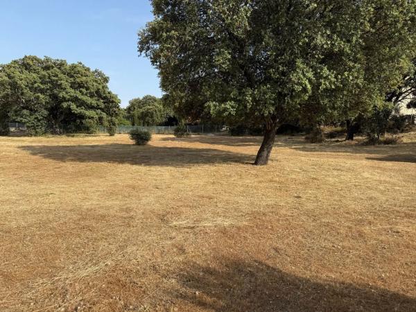 Terreno en Diseminado Peñarrubia, 13