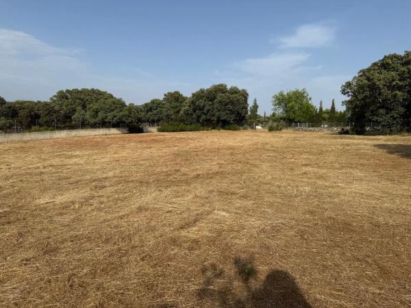 Terreno en Diseminado Peñarrubia, 13