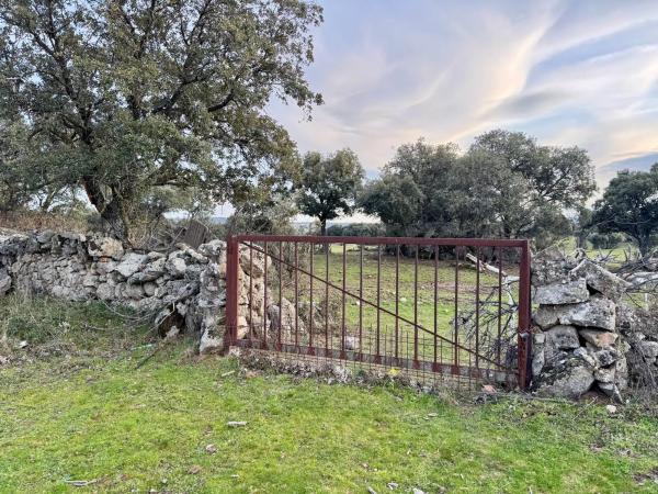 Terreno en camino de villamantilla s/n