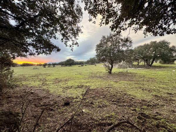 Terreno en camino de villamantilla s/n
