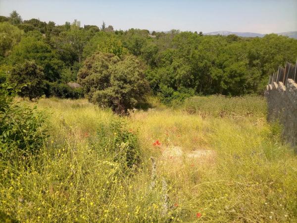 Terreno en calle Faisán