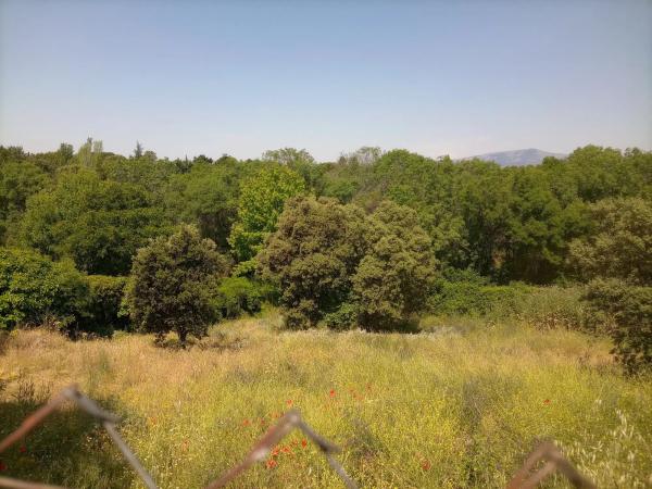 Terreno en calle Faisán