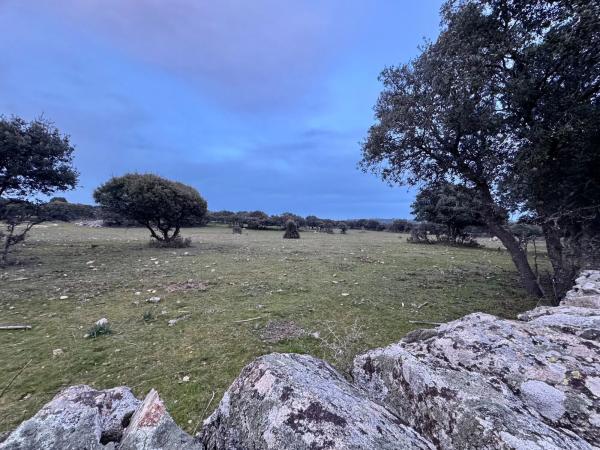 Terreno en camino de villamantilla s/n