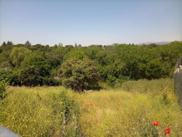 Terreno en calle Faisán