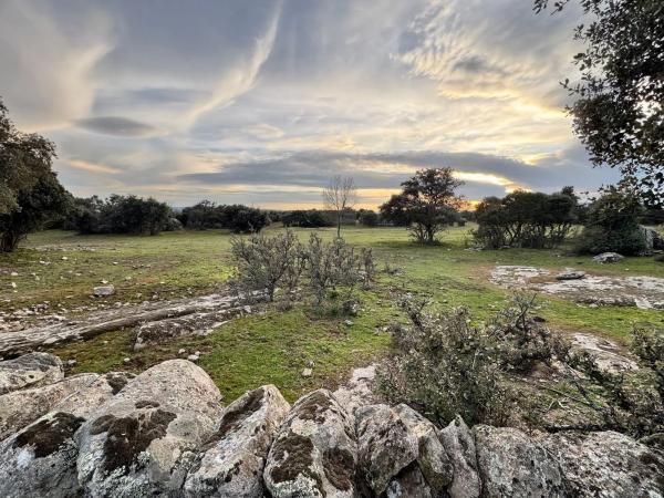 Terreno en camino de villamantilla s/n