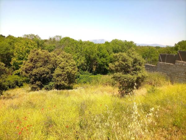 Terreno en calle Faisán